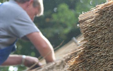 professional Biggleswade thatchers